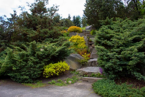 Botanical Garden In Łódź,Poland.
