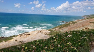 Photo of aerial view of Ferrel, Portugal.