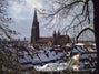 Freiburg Minster travel guide