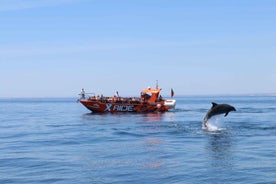 Albufeira: Horfa á höfrunga og Benagil-hellir