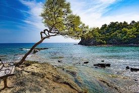 Phaselis-Olympos-Cirali, excursão de dia inteiro com almoço