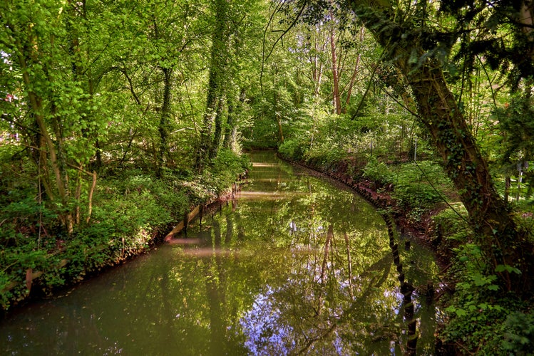 Photo of the little river Delme in Delmenhorst (Germany) .