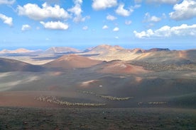 Timanfaya National Park Morning Tour