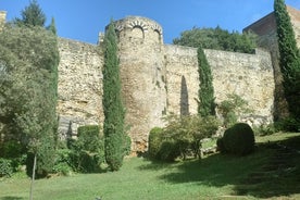 Girona gyðinga arfleifð lítil hópferð frá Girona