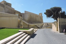 Croisière à Gozo, à Comino et au lagon Bleu