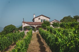 Weintour - Besuch eines Familienweinguts, Verkostung von Speisen und Bootsfahrt auf dem Skutarisee