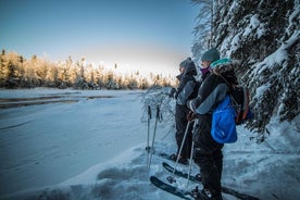 Backcountry ski eventyr