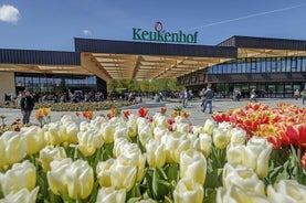 Visite privée des champs de tulipes de Keukenhof au départ d'Amsterdam