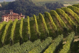 Excursão privada: Degustação de vinhos de Piemonte, da região Barolo