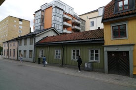 Uppsala bloody history 1h- racial biology, 18th century plague, 19th century prostitution etc.