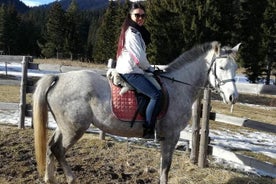 Equitazione privata nelle montagne Rodopi da Plovdiv