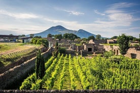 Vesuvius, Pompejin rauniot, koe viinitarhat ja viinitilakierros lounaalla.