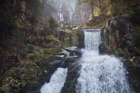 Excursión privada de un día desde Basilea a la Selva Negra y viceversa.