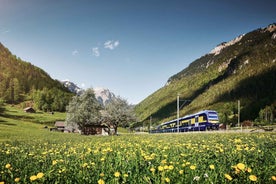 From Lucerne: Day Trip to Grindelwald & Lauterbrunnen