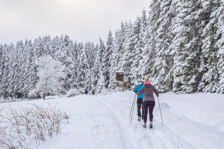 finland-in-february-8.jpg