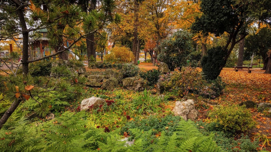 city park of Wiener Neustadt in the fall - playground in the background Wiener Neustadt - Lower Austria/Austria