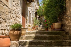 Private Guided Tour of Saint-Remy, Arles, and Les Baux