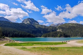 Montenegro: Dagstur til Black Lake og Tara Canyon