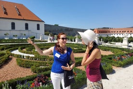 Fast ganz Bratislava in 6 Stunden – Private Tour mit Minivan