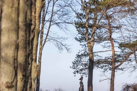 Lettnesk Landslag: Leiðsöguferð um Kemeri og Jurmala