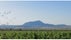 BODEGAS CASTAÑO, Yecla, Altiplano, Region of Murcia, Spain