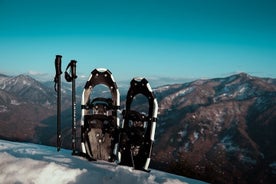 Snowshoes Hiking from Batumi