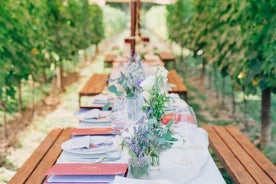 Romantic Lunch in the Vine Rows in Tuscany