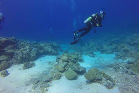 Alanya: 2 Guided Scuba Dives with Lunch and Hotel Transfers