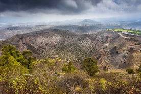 Tour privado del volcán de Gran Canaria y degustación de vinos canarios