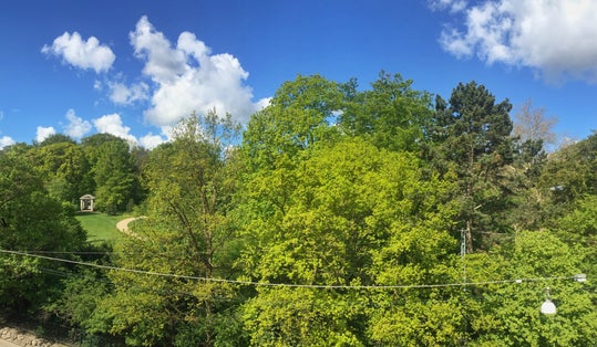 Photo of Park of Søndermarken, Frederiksberg, Copenhagen, Denmark.