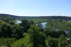 Viaje de un día a Vilnius al parque nacional de Dzukija, que incluye el parque Grutas