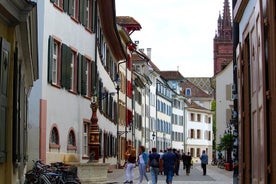 Private direct transfer from Lucerne to Basel, local driver