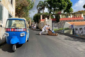 Funchal: Toboggan and Old Town Experience with Tukway