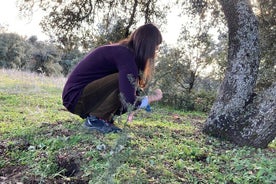 Paseo Silvestre Gastronómico de Medio Día en Girona