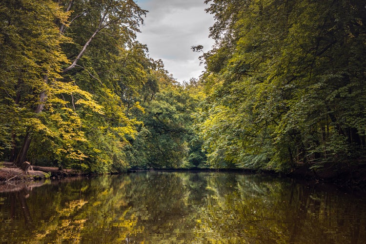 Photo of Stever is a river of North Rhine-Westphalia, Germany. It flows into the Lippe in Haltern am See, also creates the artificial lakes of Haltern with a nature reserve nearby with lots of wild nature.