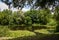 photo of view of Lone Tree Crater, known as the Pool of Peace, on a World War 1 battle field in Flanders, Wulvergem, Belgium.