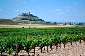 Tour per piccoli gruppi - Ribera del Duero Super assaggio con pranzo