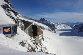 Jungfraujoch Small Group Tour från Zürich med tåg