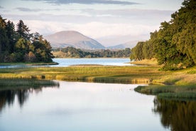 Frá Inverness: Cairngorms Þjóðgarðurinn og Viskíferðin