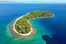 Excursion d'une demi-journée en hors-bord : explorez les joyaux cachés de l'île de Hvar