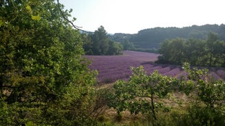 Les Vallons Holiday Home