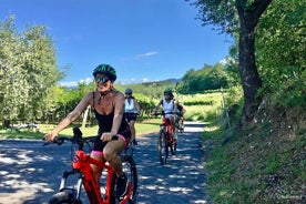 Tour en bicicleta eléctrica y cata de vinos en Lazise