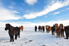 Círculo dorado y paseo a caballo