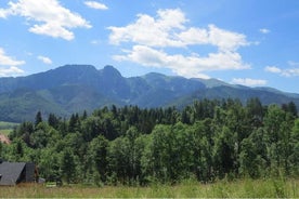 Balade d'une journée complète à la cime des arbres de Zakopane et de la Slovaquie au départ de Cracovie