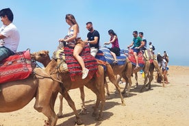 Tangier Guided Tour from Seville with Lunch included