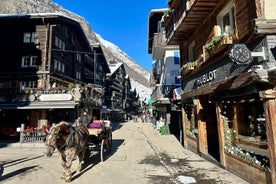 Basel Private Tour - Zermatt Village and Gornergrat's Railway