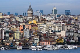 Istanbul Half Day Private Tour with Guide