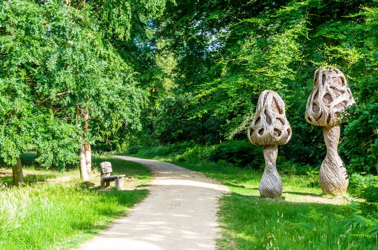 Photo of Wooden bench and mushroom sculptures by a footpath in the woods at Wakehurst Place in West Sussex, Chichester, England.