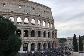 Tour VIP di Roma, Colosseo e Musei Vaticani, autista e guida turistica privata con biglietti saltafila