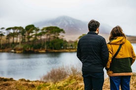 From Galway: Connemara and Connemara National Park Day Trip